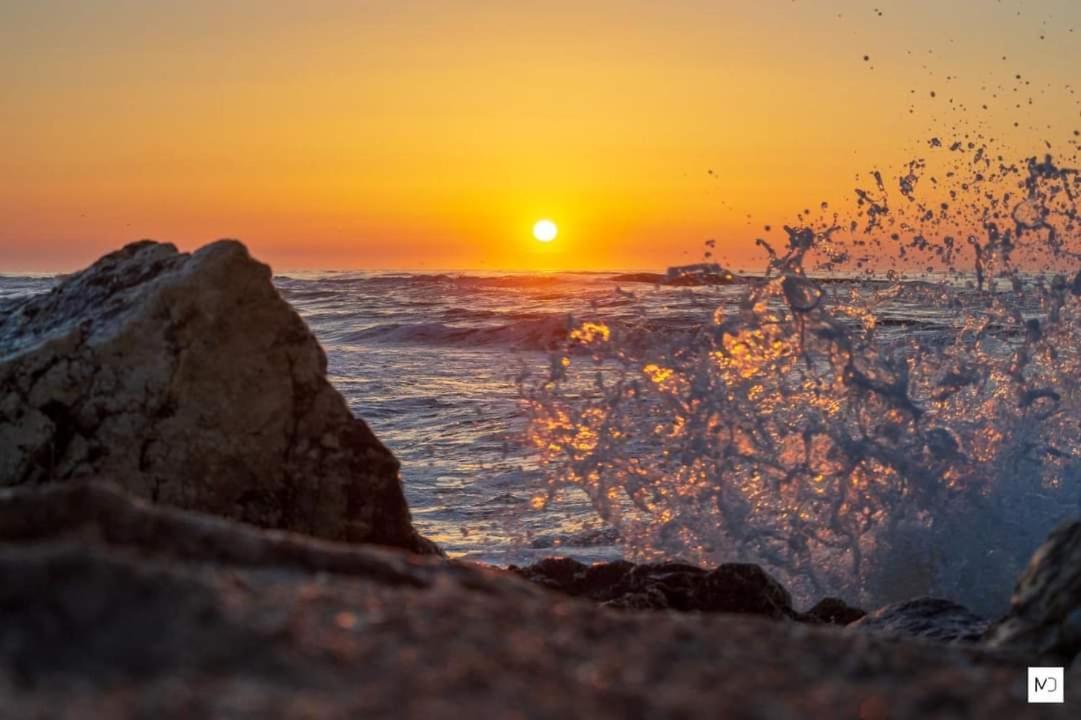 Отель La Olteanu Ваду Экстерьер фото