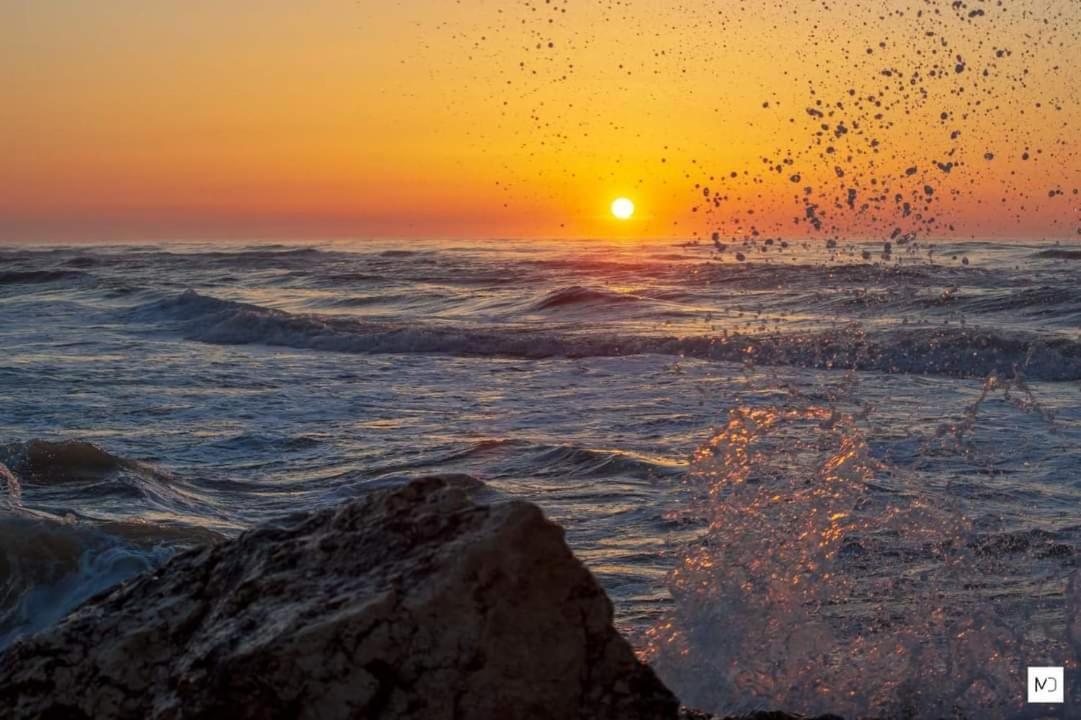 Отель La Olteanu Ваду Экстерьер фото